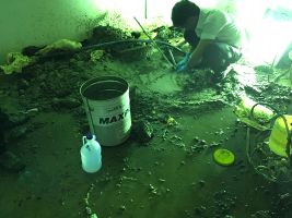 Công trình chống thấm Nam Vương