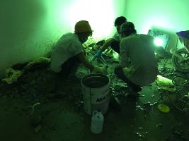 Công trình chống thấm Nam Vương