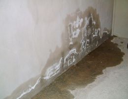 Ẩm mốc chân tường và cách xử lý