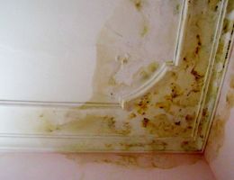 Giải pháp chống thấm nhà xây mới