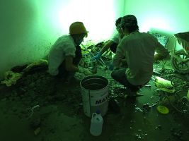 Công trình chống thấm Nam Vương